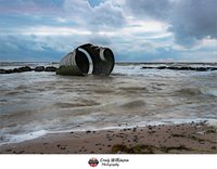 Marys Shell