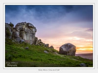 Ilkley Moor, Cow and Calf
