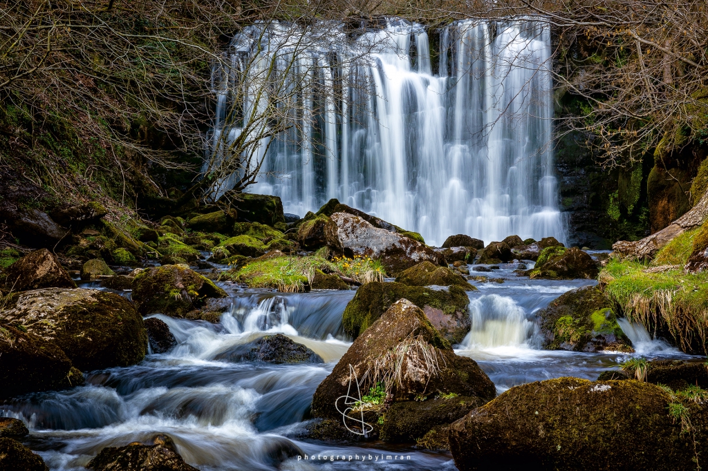 Scale Haw Force