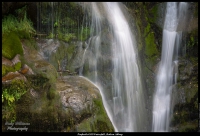 34377071544_2500b3a838_o_d[1].jpg