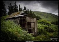 The Old Bike Shed
