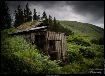 The Old Bike Shed