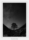 Sycamore Gap