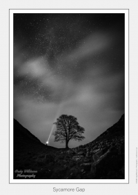 Sycamore Gap