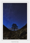 Sycamore Gap