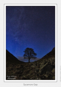 Sycamore Gap