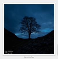 Sycamore Gap