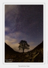 Sycamore Gap