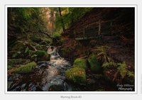 Wyming Brook #3