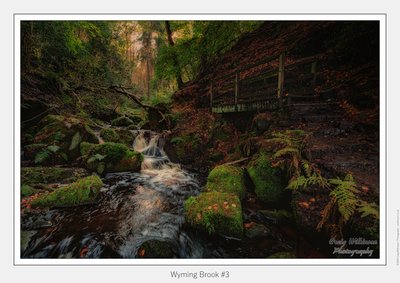Wyming Brook #3