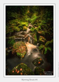 Wyming Brook #4