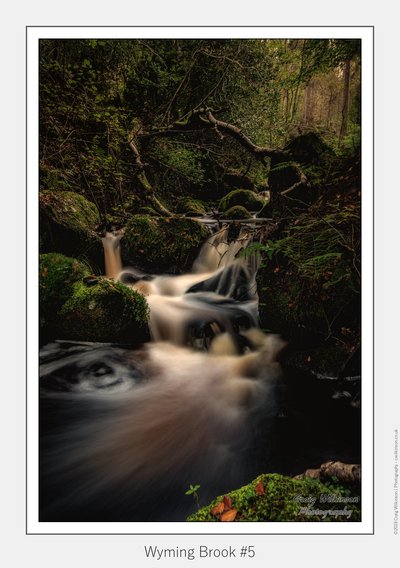 Wyming Brook #5