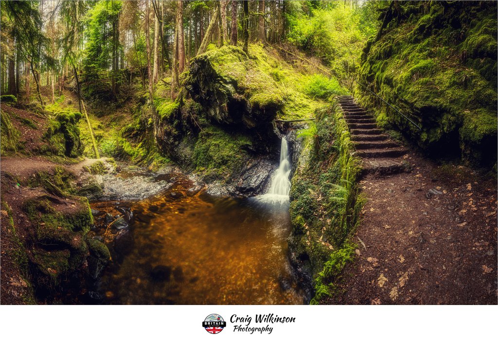 Puck's Glen