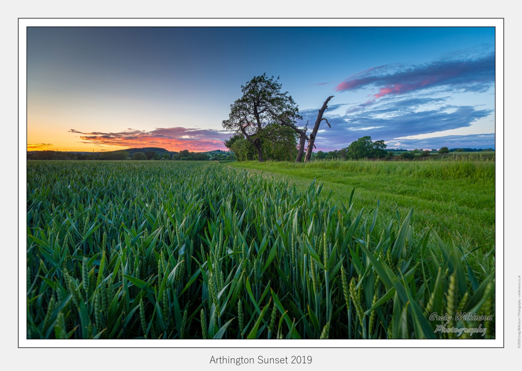 Arthington Sunset 2019