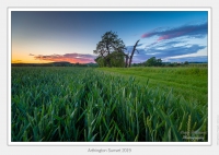Arthington Sunset 2019