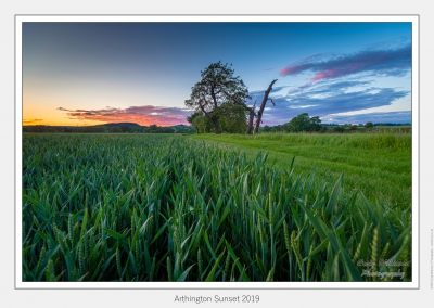 Arthington Sunset 2019