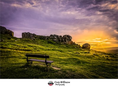 Cow and Calf Sunset