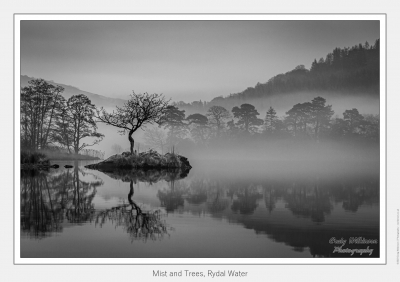 Mist And Trees, Rydal Water