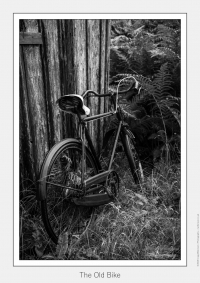 The Old Bike - July 31, 2016
