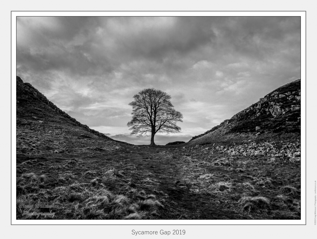 Sycamore Gap 2019 - February 10, 2019