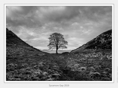 Sycamore Gap 2019 - February 10, 2019