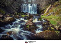 Scale Haw Force