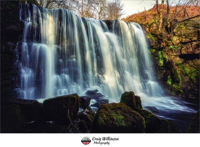 Scale Haw Force