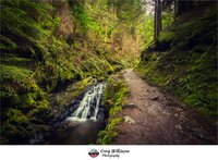 Puck's Glen