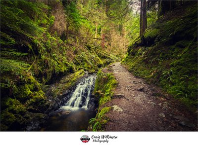 Puck's Glen