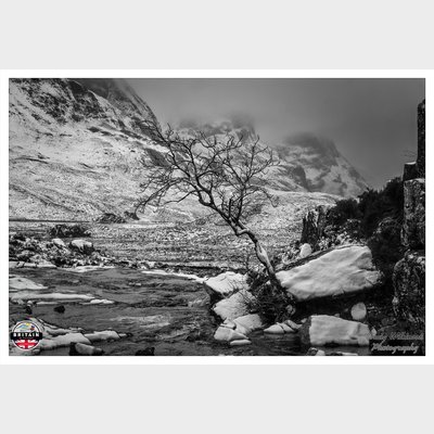 Lone Tree, Glencoe