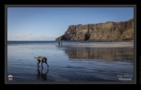 Talisker Bay