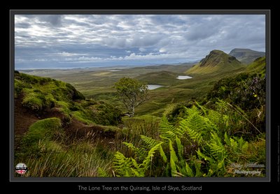 The Lone Tree on the Quiraing