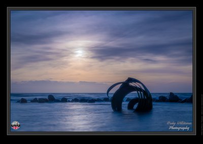 Marys Shell
