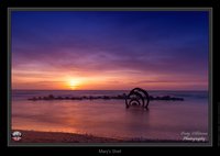 Mary's Shell