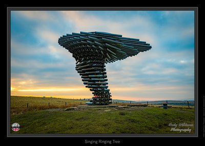 Singing Ringing Tree