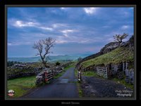 Winskill Stones