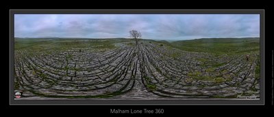 Malham Lone Tree 360