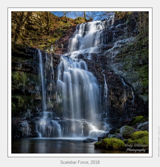 Scalebar Force, 2018
