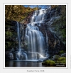 Scalebar Force, 2018