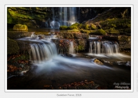 Scaleber Force, 2018