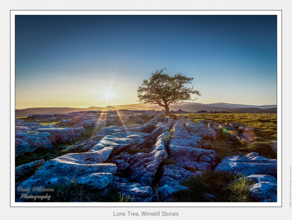01-Lone Tree, Winskill Stones - (4812 x 3437).jpg